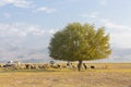 Erciyes Mountain is a volcano Royalty Free Stock Photo